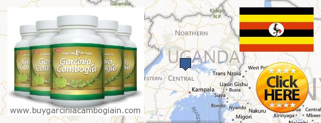 Dove acquistare Garcinia Cambogia Extract in linea Uganda